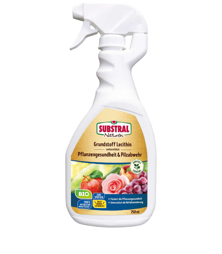 SUBSTRAL Naturen Grundstoff Lecithin Spray